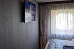 Oceanview Stateroom Picture