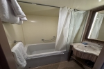 Deluxe Oceanview Stateroom Picture