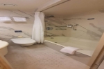 Mini-Suite Stateroom Picture