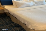 Balcony Stateroom Picture