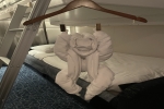 Deluxe Verandah Stateroom Picture