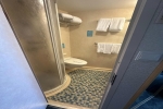 Larger Oceanview Stateroom Picture