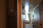 Deluxe Oceanview Stateroom Picture