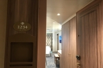 Deluxe Oceanview Stateroom Picture