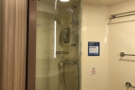 Deluxe Oceanview Stateroom Picture