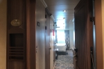 Deluxe Oceanview Stateroom Picture