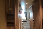 Deluxe Oceanview Stateroom Picture