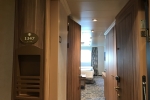 Deluxe Oceanview Stateroom Picture