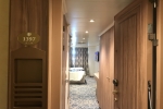 Deluxe Oceanview Stateroom Picture