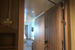 Deluxe Oceanview Stateroom Picture