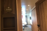 Deluxe Oceanview Stateroom Picture