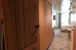 Deluxe Oceanview Stateroom Picture