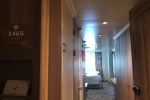 Deluxe Oceanview Stateroom Picture