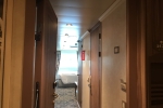 Deluxe Oceanview Stateroom Picture