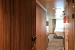 Deluxe Oceanview Stateroom Picture