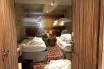 Interior Stateroom Picture