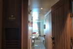 Deluxe Oceanview Stateroom Picture