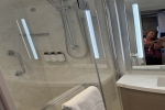 Cove Balcony Stateroom Picture