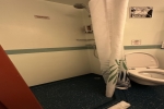 Interior Stateroom Picture