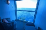 Infinite Stateroom Picture