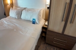 Oceanview Stateroom Picture