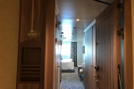 Deluxe Oceanview Stateroom Picture