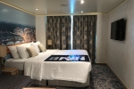 Deluxe Oceanview Stateroom Picture