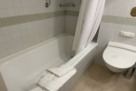 Mini-Suite Stateroom Picture