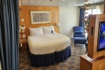 Owners Suite Stateroom Picture