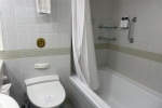 Mini-Suite Stateroom Picture
