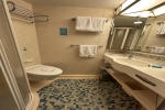 Spacious Oceanview Stateroom Picture