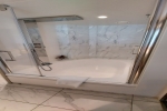 Sky Suite Stateroom Picture