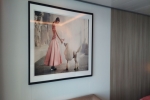 Sky Suite Stateroom Picture