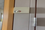 Verandah Stateroom Picture