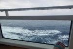 Cove Stateroom Picture