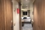 Deluxe Oceanview Stateroom Picture