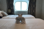 Deluxe Oceanview Stateroom Picture