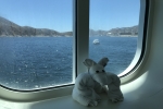 Deluxe Oceanview Stateroom Picture