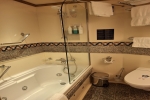 Suite Stateroom Picture