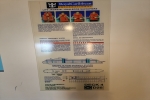 Junior Suite Stateroom Picture
