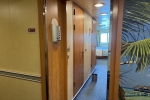 Deluxe Oceanview Stateroom Picture