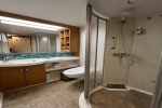 Interior Stateroom Picture