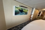 Spacious Balcony Stateroom Picture