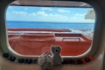 Oceanview Stateroom Picture