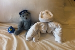 Ocean Stateroom Picture