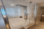 Sky Suite Stateroom Picture