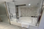 Sky Suite Stateroom Picture