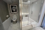 Sky Suite Stateroom Picture