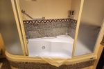 Penthouse Suite Stateroom Picture
