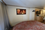 Verandah Stateroom Picture